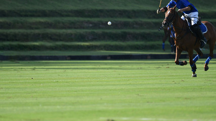 polo Ball is floating in the air during a polo match.