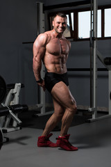 Obraz na płótnie Canvas Bodybuilder Performing Side Triceps Pose