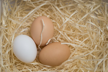 Three chicken eggs lie in a nest of straw, shot close-up