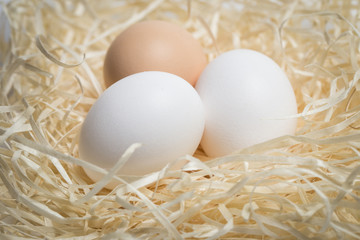 Three chicken eggs lie in a nest of straw, shot close-up