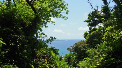 沖縄　斎場御嶽から眺める海