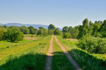 Beautiful spring landscape. Country road with mountains in the background.