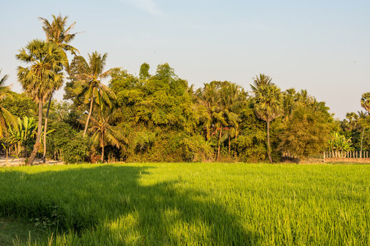 Kambodscha - Siem Reap - Landausflug nordöstlich von Siem Reap