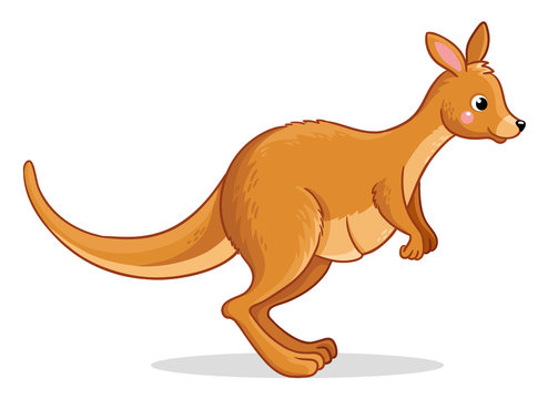 Vector illustration with a cute kangaroo. Animal in a children's style on a white background.