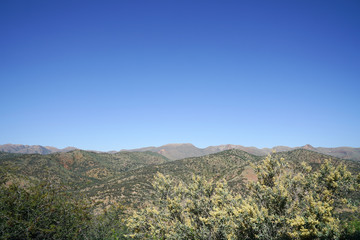 Distant rolling hills background in Namibian landscape beyond tree tops in foreground