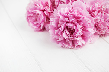 Pink peony flowers