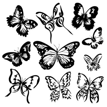 Set of 10 hand drawn butterflies. Vector silhouettes