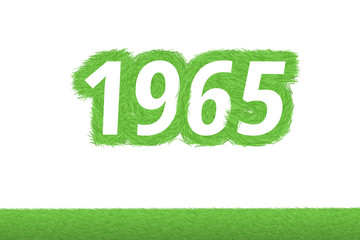 Jahr 1965 - wei&szlig;e Zahl 1965 mit frischen gewachsenen gr&uuml;nen Grashalmen Symbol