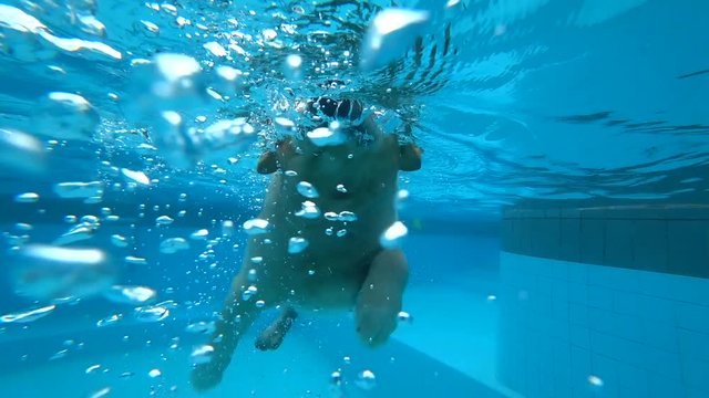 Golden Retriever (Dog) Exercises in Swimming Pool Underwater View