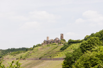 Fototapeta na wymiar Alken, Burg, Thurant, Mosel, Weinberg, Fluss, Rheinland-Pfalz, Untermosel, Frühling, Deutschland