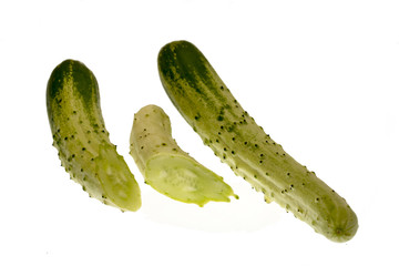 半白きゅうり　奈良県産　白抜き