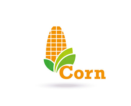 Agriculture Logo Template Design. Corn icon, Sign or Symbol. farm. Flat design