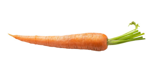 Fresh carrot isolated on white background. Clipping path