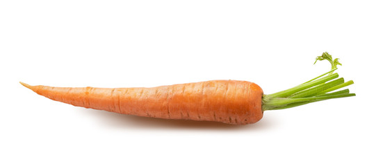 Fresh carrot isolated on white background. Clipping path