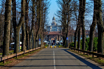 along tree-lined avenue leads to the historic monumental complex of the Certosa of Pavia