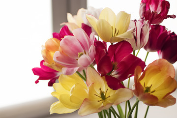Bouquet of colorful tulips close-up.