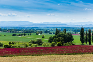Countryside landscape with fields, forests and mountains in sunny day.