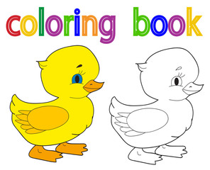 book coloring, duckling