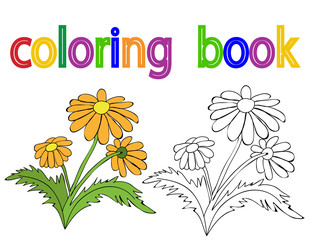 vector, isolated, coloring book, flowers, simple