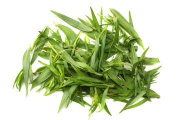 Tarragon leaves ( Artemisia dracunculus ) isolated on white background