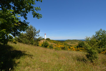 Obraz premium Leuchtturm auf der Insel Hiddensee, Am Dornbusch