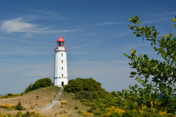 Fototapeta na wymiar Leuchtturm auf der Insel Hiddensee, Am Dornbusch