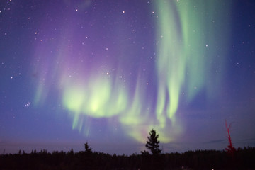 カナダ　イエローナイフ　オーロラ