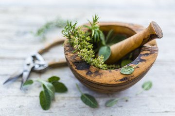 Fresh and aromatic herbs in a wooden mortar. 