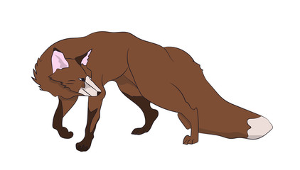 fox stands, vector