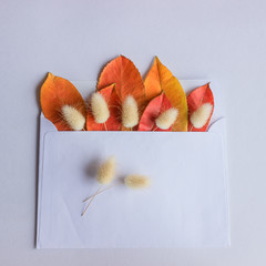 White envelope with bright autumn leaves and dry twigs on white background. Autumn letter.