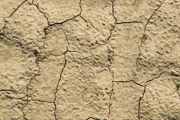 Vertrockneter Boden Textur