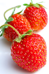 Red berry strawberry isolated on white background