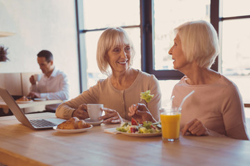 Friendly chat. Two charming elderly women sitting at the counter in the cafe and chatting while one of the women eating salad and the other one drinking coffee