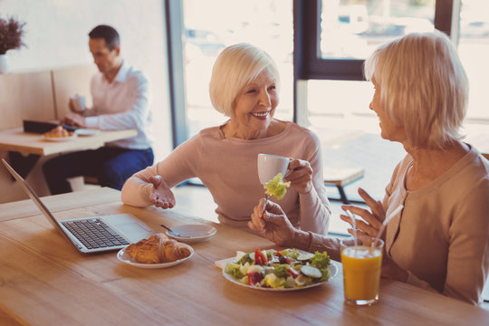 Perfect Pastime. Two Joyful Senior Women Sitting At The Counter In The Cafe And Chatting Merrily While Having Brunch