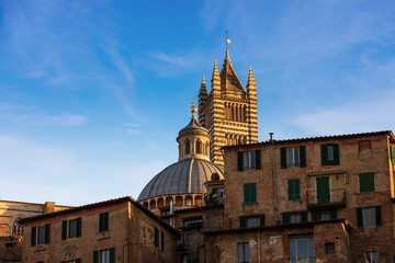 Siena Cathedral and old houses. Tuscany - Italy - Europe