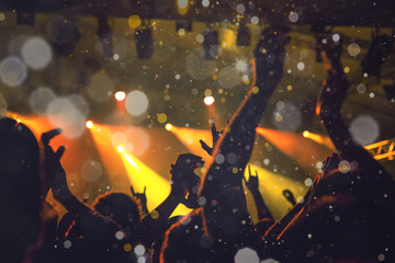 Concert crowd in a bug venue, bright stage is visible.