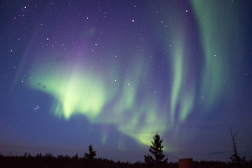 カナダ　イエローナイフ　オーロラ
