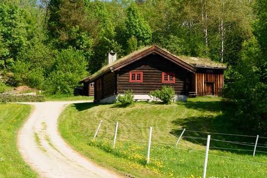 Lovely brown cabin in a traditional Norwegian style. Forest in the background and a meadow in the front. Grass roof on the building.