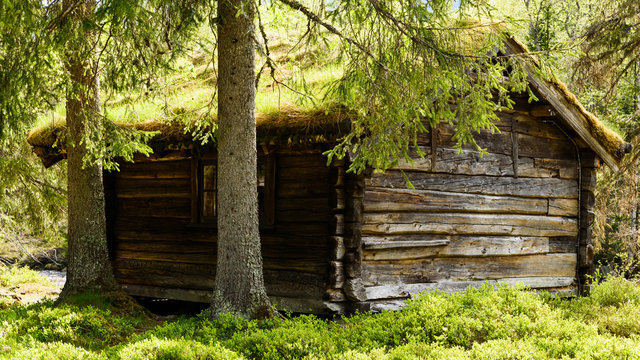 Small forest cabin with grass roof. Location Vinje in Telemark, Norway.