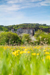 Fototapeta na wymiar Beautiful spring day. castle Cesky Sternberk with blue sky and blooming dandelion foreground in Czech republic