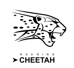 cheetah, roaring cheetah.
