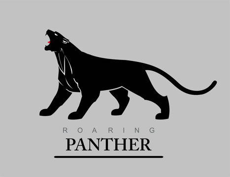 roaring panther