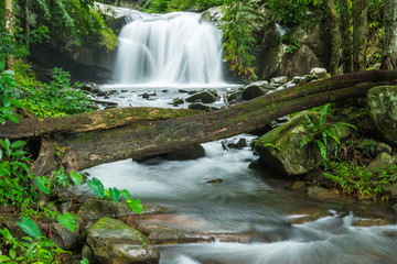 waterfalls in deep forest at National Park ,Kanchanaburi ,A beautiful stream water famous rain forest waterfall in Thailand