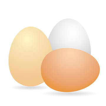 Egg. White and brown 3D egg chicken. Isolated on white background. Vector