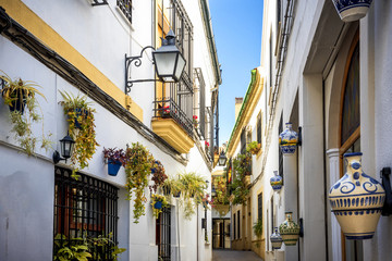 Fototapeta na wymiar Cordoba (Andalucia, Spain): old typical street in the Juderia with plants and flowers