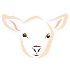 The head of a lamb or calf