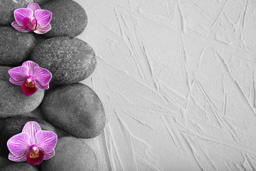 Fototapeta na wymiar Spa stones and beautiful orchid flowers on grey textured background
