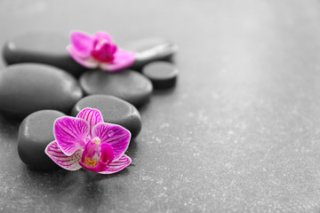 Fototapeta na wymiar Spa stones and beautiful orchid flowers on dark background