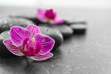 Spa stones and beautiful orchid flower on dark background