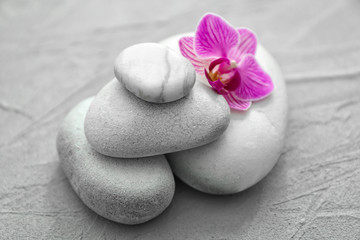 Fototapeta na wymiar Spa stones and beautiful orchid flower on grey textured background